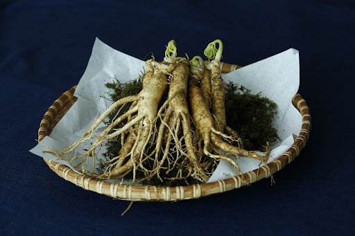 Ginseng and Its Hair Growth Potential